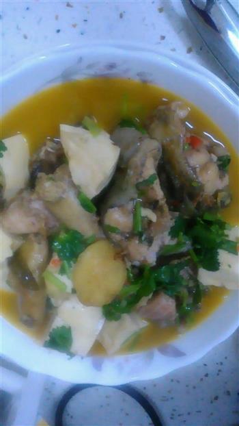 鲶鱼豆腐怎么做，鲶鱼豆腐怎么做好吃，鲶鱼豆腐做法