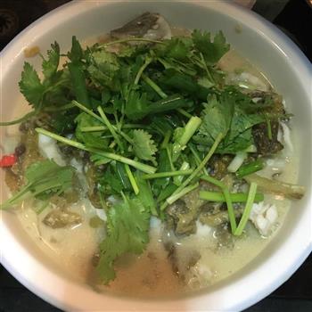 鲈鱼酸菜鱼怎么做，鲈鱼酸菜鱼怎么做好吃，鲈鱼酸菜鱼做法