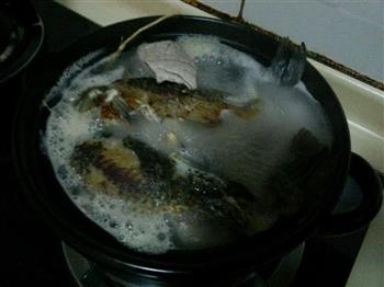 苋菜头根煲鲫鱼瘦肉汤怎么做，苋菜头根煲鲫鱼瘦肉汤怎么做好吃，苋菜头根煲鲫鱼瘦肉汤做法