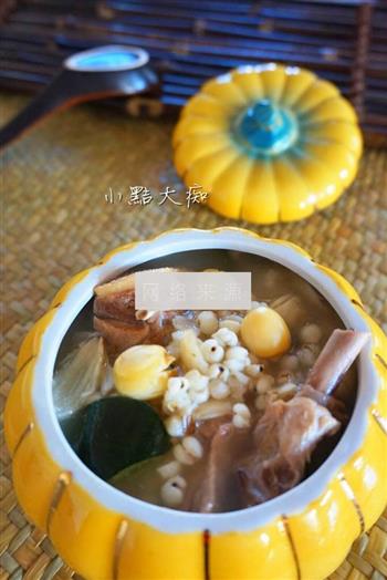 薏米莲子老鸭汤怎么做，薏米莲子老鸭汤怎么做好吃，薏米莲子老鸭汤做法
