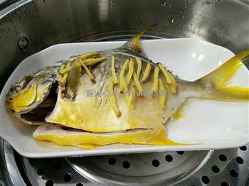 香辣普宁豆酱蒸鲳鱼怎么做，香辣普宁豆酱蒸鲳鱼怎么做好吃，香辣普宁豆酱蒸鲳鱼做法