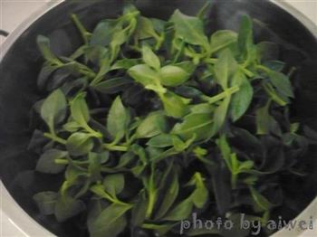 穿心莲蛋花汤怎么做，穿心莲蛋花汤怎么做好吃，穿心莲蛋花汤做法