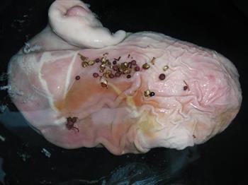 红枣粉条猪肚汤怎么做，红枣粉条猪肚汤怎么做好吃，红枣粉条猪肚汤做法