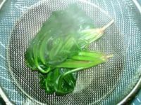 绿菠淡菜汤怎么做，绿菠淡菜汤怎么做好吃，绿菠淡菜汤做法