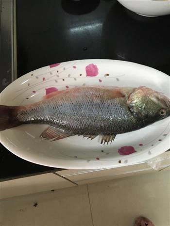 葱香鲈鱼怎么做，葱香鲈鱼怎么做好吃，葱香鲈鱼做法