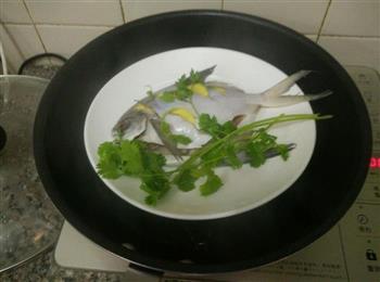 蒸苍鱼怎么做，蒸苍鱼怎么做好吃，蒸苍鱼做法