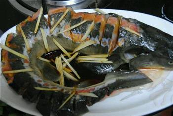 清蒸浔龙鱼怎么做，清蒸浔龙鱼怎么做好吃，清蒸浔龙鱼做法