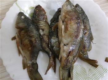 西红柿焖鱼 十块钱快手菜怎么做，西红柿焖鱼 十块钱快手菜怎么做好吃，西红柿焖鱼 十块钱快手菜做法