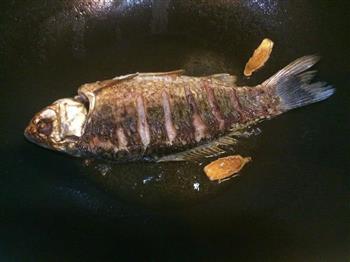 红烧鲫鱼-零经验的拿手菜系列怎么做，红烧鲫鱼-零经验的拿手菜系列怎么做好吃，红烧鲫鱼-零经验的拿手菜系列做法
