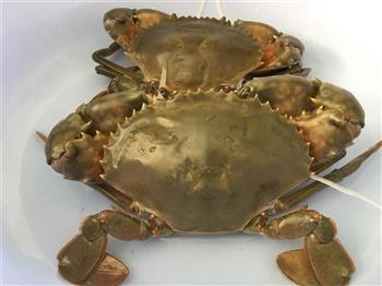 咖喱肉蟹怎么做，咖喱肉蟹怎么做好吃，咖喱肉蟹做法