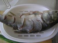 美味蒸鱼怎么做，美味蒸鱼怎么做好吃，美味蒸鱼做法