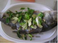 美味蒸鱼怎么做，美味蒸鱼怎么做好吃，美味蒸鱼做法