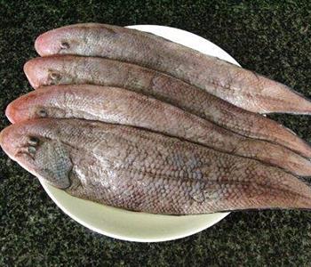 香煎肉鳎鱼怎么做，香煎肉鳎鱼怎么做好吃，香煎肉鳎鱼做法