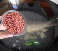 红小豆焖鲤鱼怎么做，红小豆焖鲤鱼怎么做好吃，红小豆焖鲤鱼做法