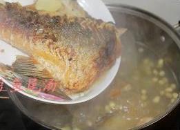 鲜果黄豆鱼尾汤怎么做，鲜果黄豆鱼尾汤怎么做好吃，鲜果黄豆鱼尾汤做法