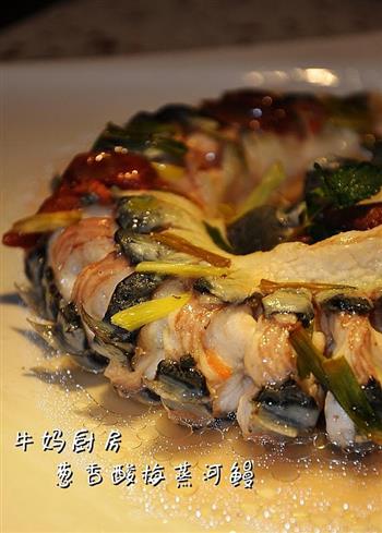 葱香酸梅蒸河鳗怎么做，葱香酸梅蒸河鳗怎么做好吃，葱香酸梅蒸河鳗做法
