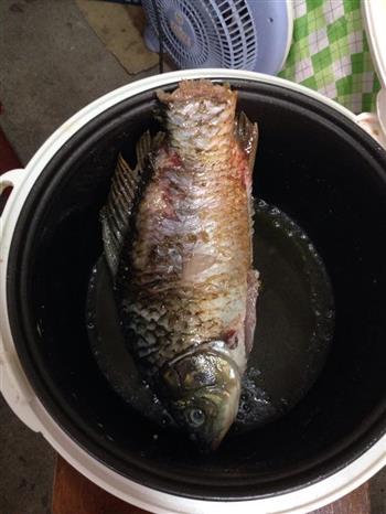 寝室鲫鱼豆腐汤怎么做，寝室鲫鱼豆腐汤怎么做好吃，寝室鲫鱼豆腐汤做法