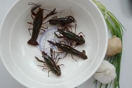 原汁原味-清炒小龙虾怎么做，原汁原味-清炒小龙虾怎么做好吃，原汁原味-清炒小龙虾做法