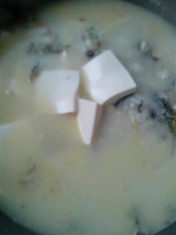 黄辣丁炖豆腐怎么做，黄辣丁炖豆腐怎么做好吃，黄辣丁炖豆腐做法