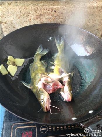 黄辣丁炖豆腐怎么做，黄辣丁炖豆腐怎么做好吃，黄辣丁炖豆腐做法