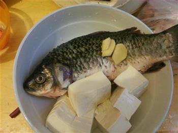 马齿苋鲫鱼豆腐汤怎么做，马齿苋鲫鱼豆腐汤怎么做好吃，马齿苋鲫鱼豆腐汤做法