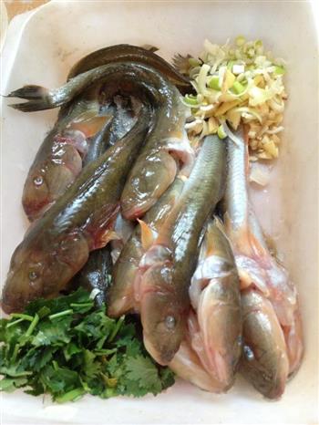 煎豆腐熬海鱼怎么做，煎豆腐熬海鱼怎么做好吃，煎豆腐熬海鱼做法