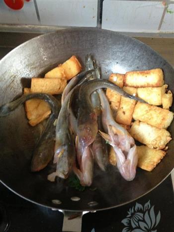 煎豆腐熬海鱼怎么做，煎豆腐熬海鱼怎么做好吃，煎豆腐熬海鱼做法