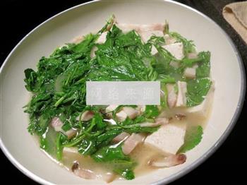 雪里蕻豆腐汤怎么做，雪里蕻豆腐汤怎么做好吃，雪里蕻豆腐汤做法