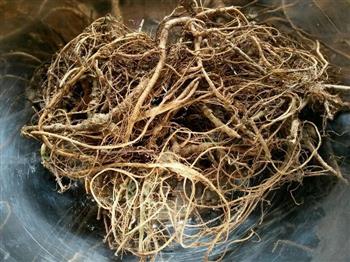 葛根猪骨蜜枣水怎么做，葛根猪骨蜜枣水怎么做好吃，葛根猪骨蜜枣水做法
