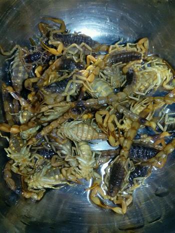蝎子土伏灵煲瘦肉汤怎么做，蝎子土伏灵煲瘦肉汤怎么做好吃，蝎子土伏灵煲瘦肉汤做法