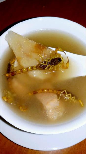 蝎子土伏灵煲瘦肉汤怎么做，蝎子土伏灵煲瘦肉汤怎么做好吃，蝎子土伏灵煲瘦肉汤做法
