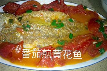 番茄煎焖黄花鱼怎么做，番茄煎焖黄花鱼怎么做好吃，番茄煎焖黄花鱼做法