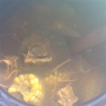 虫草花猪骨玉米汤怎么做，虫草花猪骨玉米汤怎么做好吃，虫草花猪骨玉米汤做法