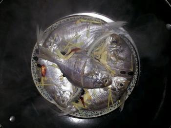 水蒸肉鲳怎么做，水蒸肉鲳怎么做好吃，水蒸肉鲳做法