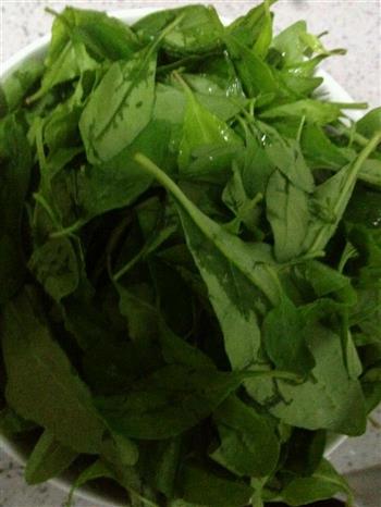 枸杞叶粉肠猪肝瘦肉汤怎么做，枸杞叶粉肠猪肝瘦肉汤怎么做好吃，枸杞叶粉肠猪肝瘦肉汤做法