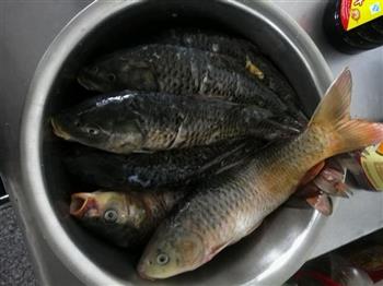 豆豉辣蒸鱼怎么做，豆豉辣蒸鱼怎么做好吃，豆豉辣蒸鱼做法