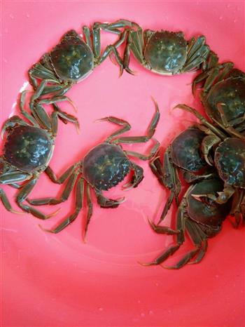 美味蒸河蟹怎么做，美味蒸河蟹怎么做好吃，美味蒸河蟹做法