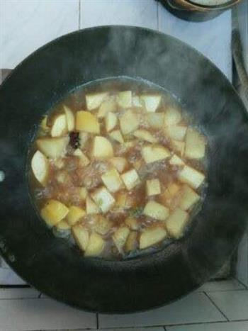 鲍鱼炖土豆怎么做，鲍鱼炖土豆怎么做好吃，鲍鱼炖土豆做法
