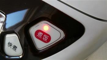 西红柿牛肉怎么做，西红柿牛肉怎么做好吃，西红柿牛肉做法