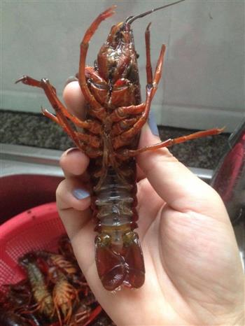 香辣小龙虾大排档feel怎么做，香辣小龙虾大排档feel怎么做好吃，香辣小龙虾大排档feel做法