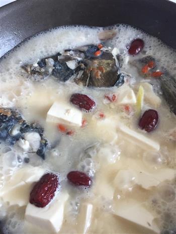 催乳佳肴－鱼头豆腐汤怎么做，催乳佳肴－鱼头豆腐汤怎么做好吃，催乳佳肴－鱼头豆腐汤做法