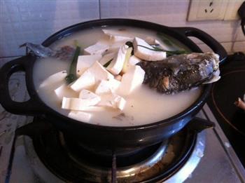 砂锅鲫鱼豆腐汤怎么做，砂锅鲫鱼豆腐汤怎么做好吃，砂锅鲫鱼豆腐汤做法