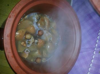 莲藕苹果梨瘦肉汤怎么做，莲藕苹果梨瘦肉汤怎么做好吃，莲藕苹果梨瘦肉汤做法