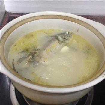 白鲫汤怎么做，白鲫汤怎么做好吃，白鲫汤做法
