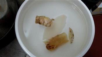 花胶响螺肉海底椰排骨汤怎么做，花胶响螺肉海底椰排骨汤怎么做好吃，花胶响螺肉海底椰排骨汤做法