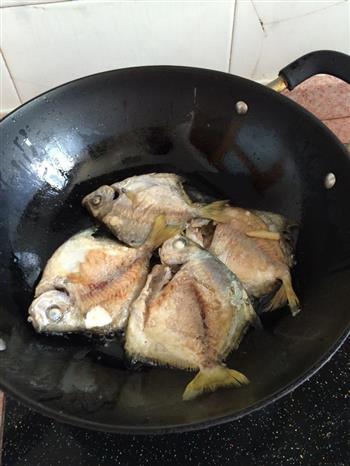 潮州风味-豆瓣酱煮小鲳鱼怎么做，潮州风味-豆瓣酱煮小鲳鱼怎么做好吃，潮州风味-豆瓣酱煮小鲳鱼做法