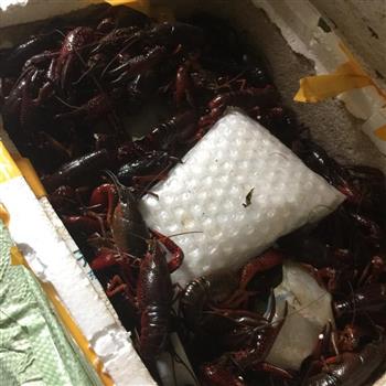 私家香辣小龙虾怎么做，私家香辣小龙虾怎么做好吃，私家香辣小龙虾做法