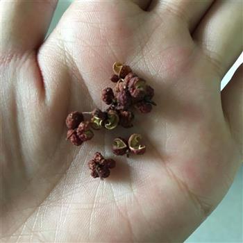 虫草老鸭汤怎么做，虫草老鸭汤怎么做好吃，虫草老鸭汤做法