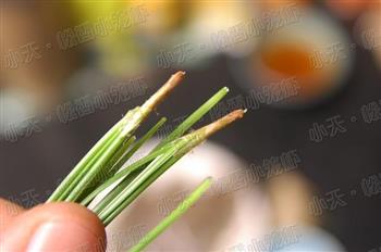松香小笼虾怎么做，松香小笼虾怎么做好吃，松香小笼虾做法