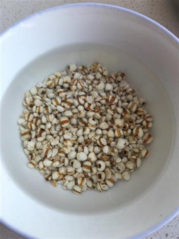 薏米枸杞小排靓汤怎么做，薏米枸杞小排靓汤怎么做好吃，薏米枸杞小排靓汤做法